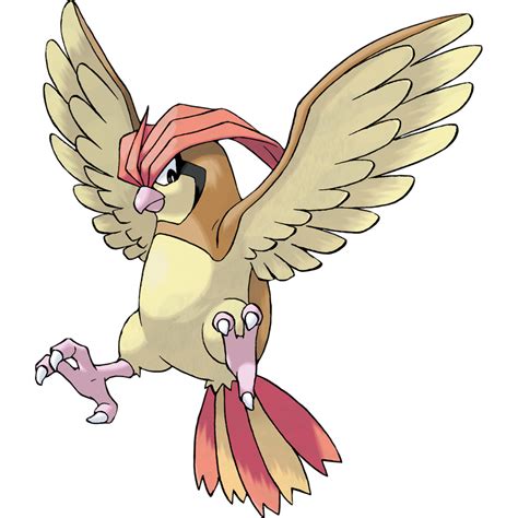 pidgey smogon|Pidgeot .